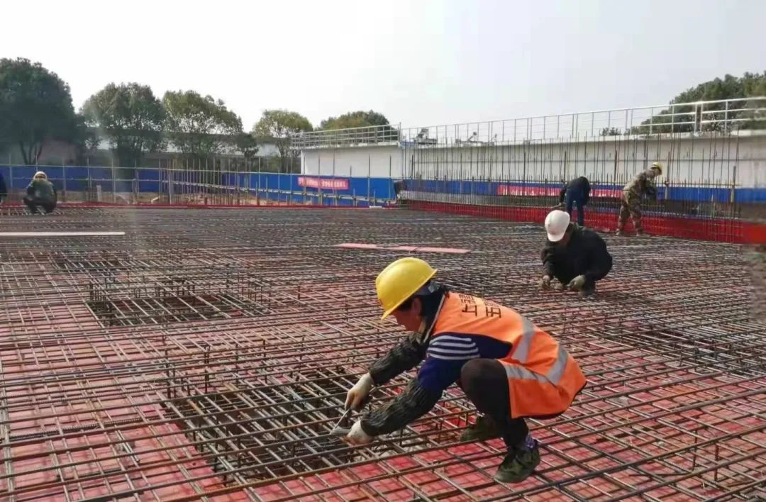 微信圖片_20220303160725 微信圖片_20220303160725